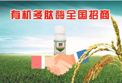 公司簡介
