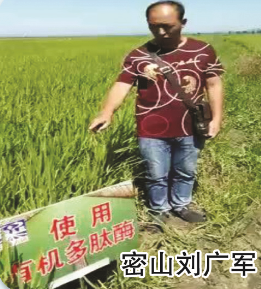 使用對照