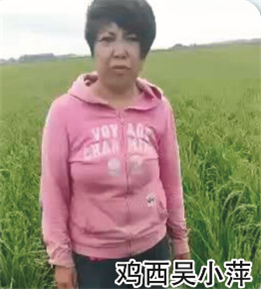使用對照