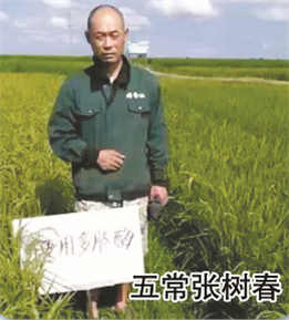 使用對照