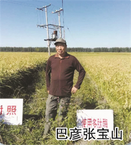 使用對照