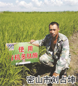 使用對照
