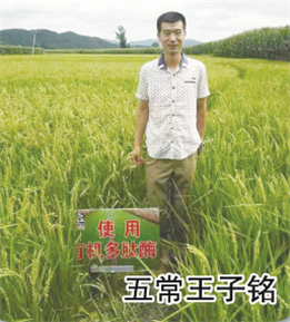 使用對照